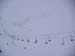 Grd_Bornand_PIC001